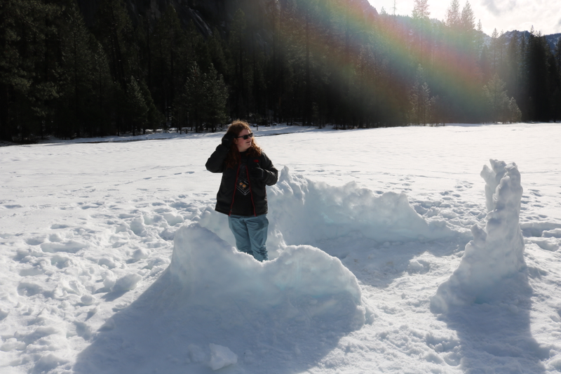 Illustration for article titled A family day with Toby in Yosemite